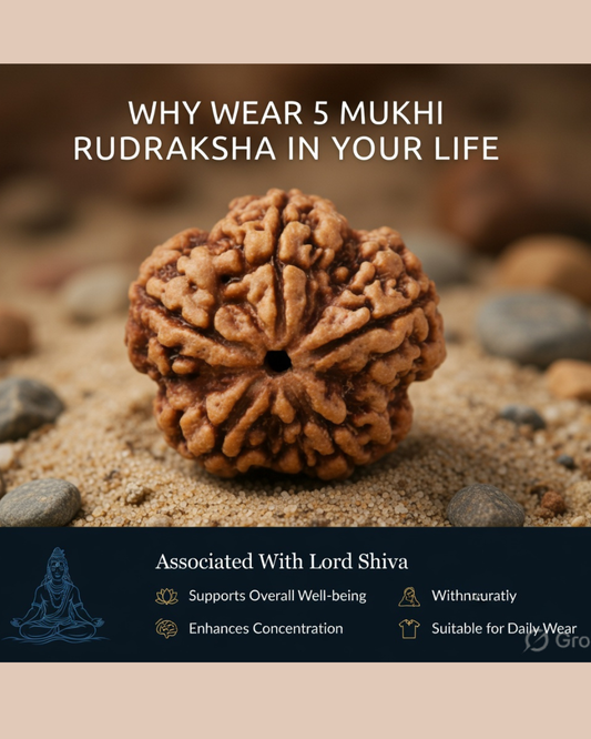 5 Mukhi Nepali Rudraksha