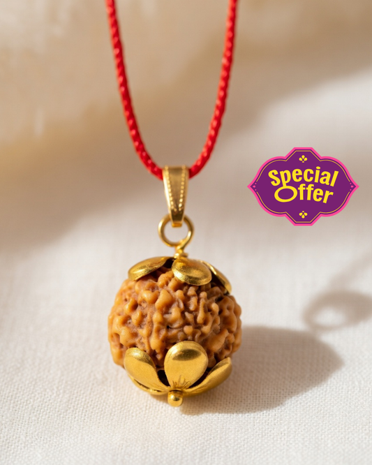 Origin 7  Mukhi Nepali Rudraksha