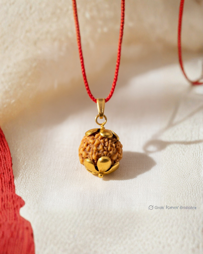 Origin 7  Mukhi Nepali Rudraksha