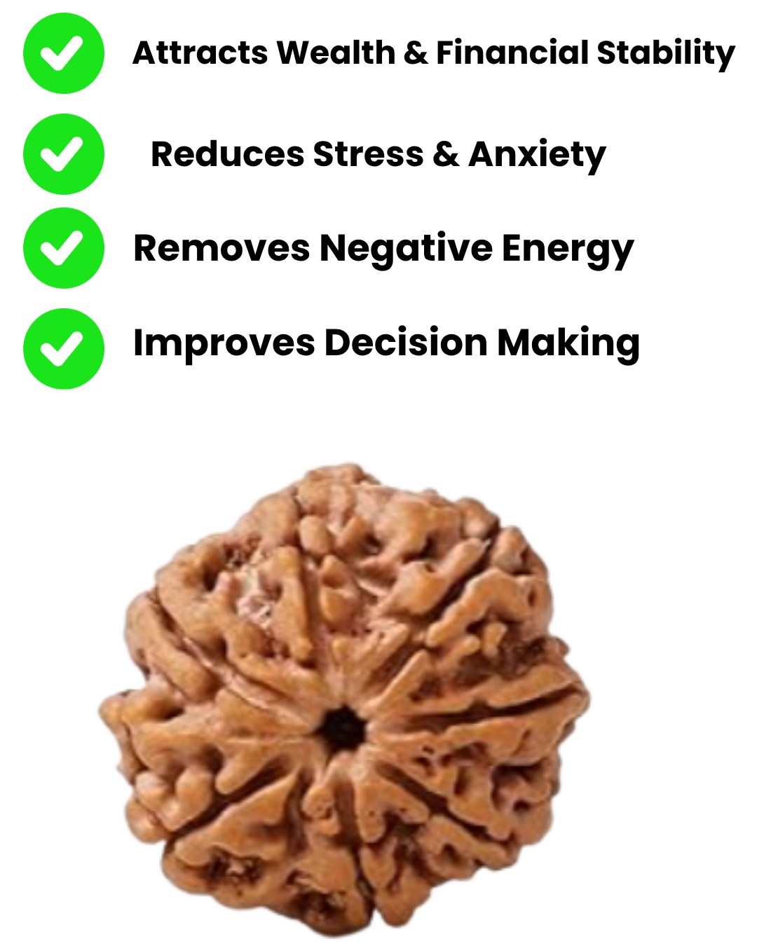 Origin 7  Mukhi Nepali Rudraksha